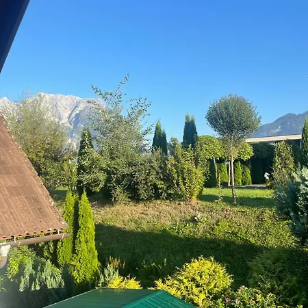 Hoamatl * Ирднинг